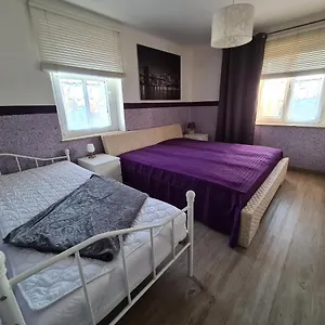 Flair Dolzig